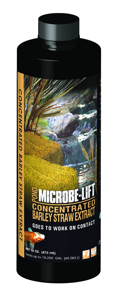 Microbe-Lift Concentrated Barley Straw Extract - 16 oz