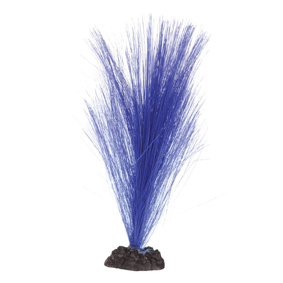 Silk Hairgrass - Purple