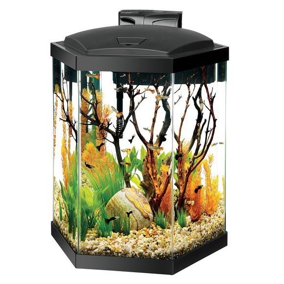 Aqueon Hex LED Aquarium Kit - 20 gal