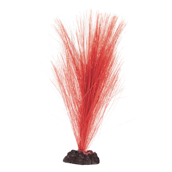 Silk Hairgrass - Red