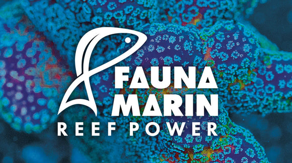 FAUNA MARIN SALINITY REFERENCE SOLUTION 100ml