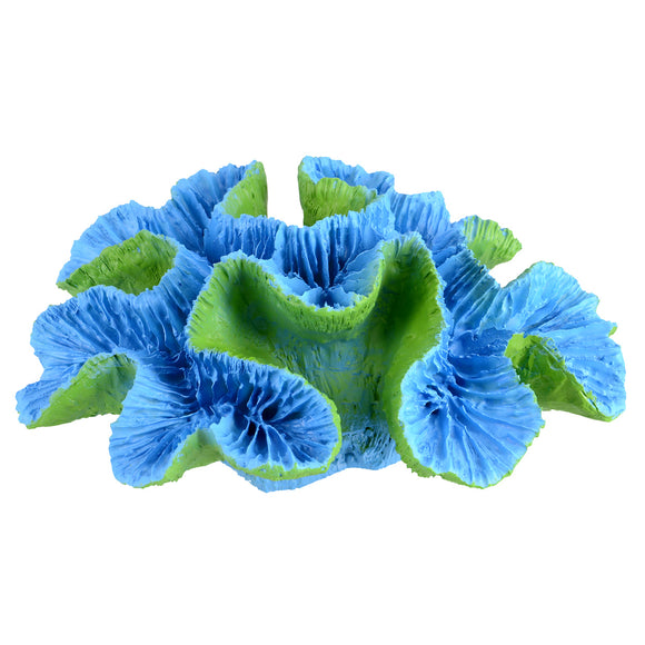 Open Brain Coral - Blue - Large