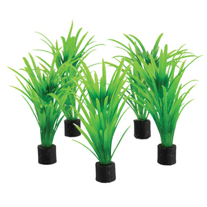 Mini Plant - Green Tall Grass - 3.25" - 5 pk