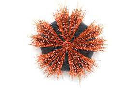 Red Tuxedo Urchin