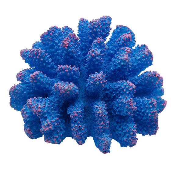 Polyped Coral - Blue