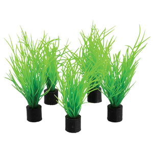 Mini Plant - Bog Grass - 3" - 5 pk