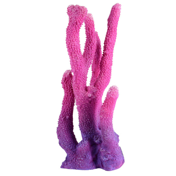 Pink Finger Coral