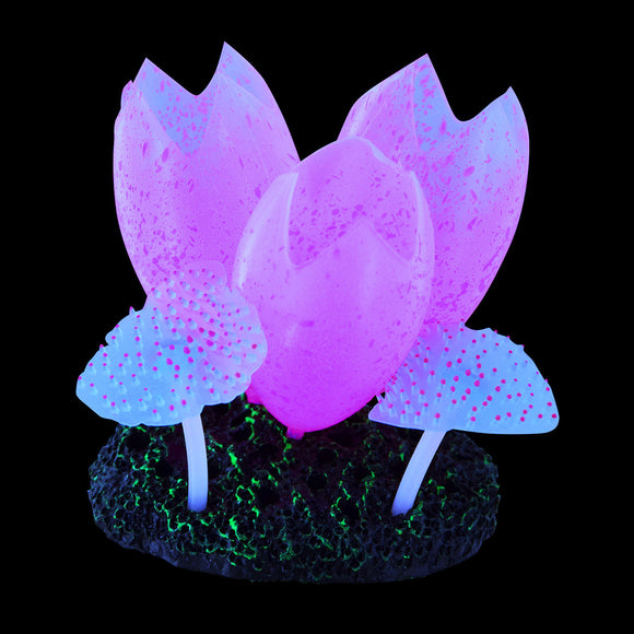 Glow Action Sea Squirts Pod - Rose