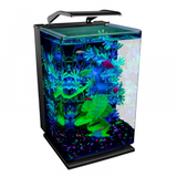 GloFish 5gal Aquarium Kit