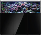 Prostar Rimless Aquarium - 200 gal - Black