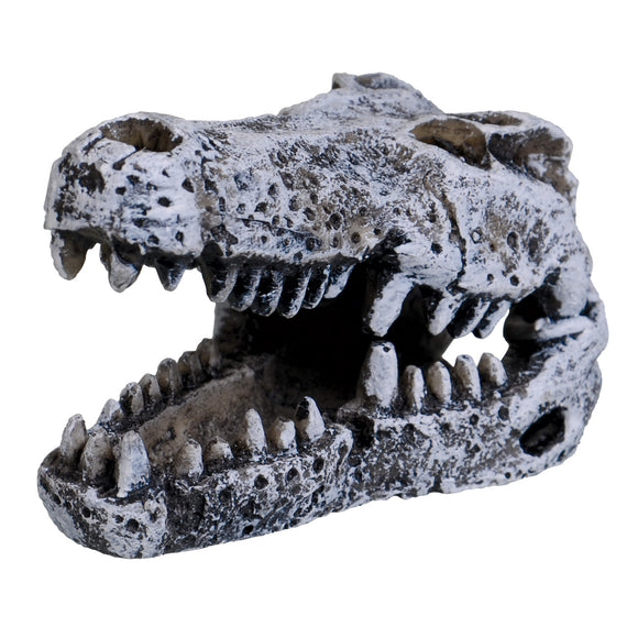 Crocodile Skull - Mini