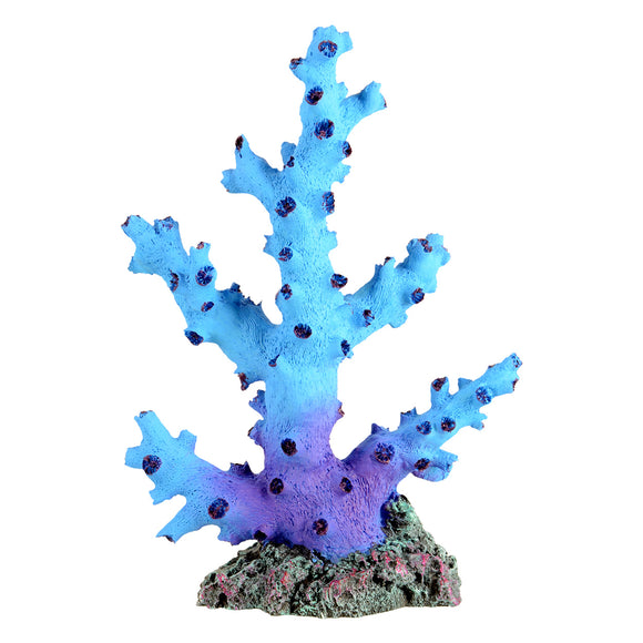 Octo Coral - Blue - Medium