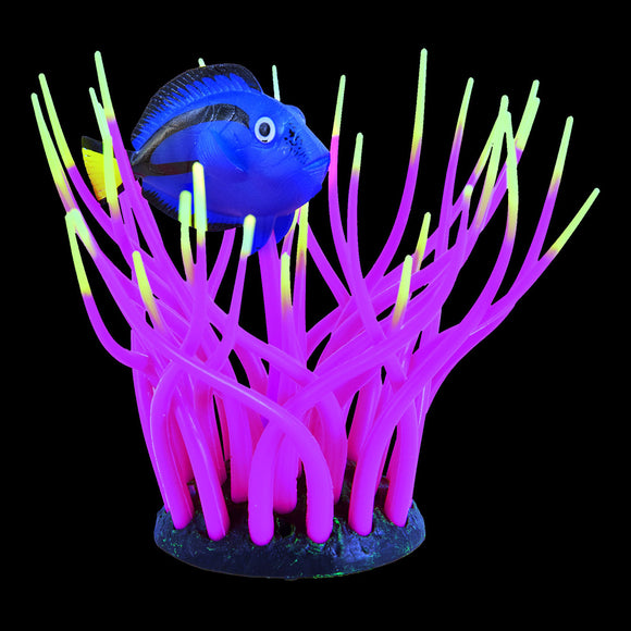 Glow Action Bubbling Blue Tang in Anemone - Rose