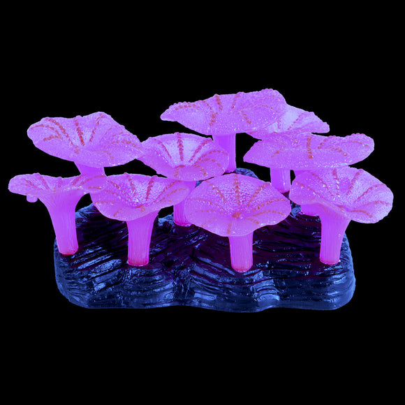 Glowing Mushroom Reef - Pink