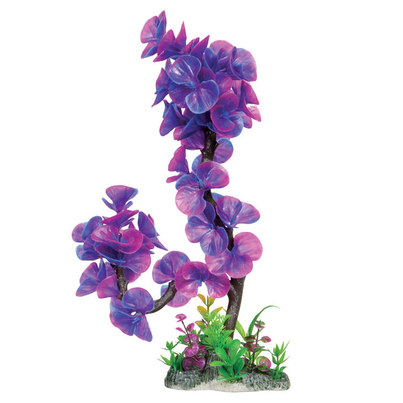 Lavender Lily - 14