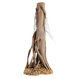 Mangrove Root - Large