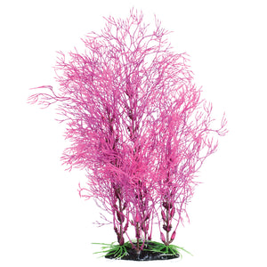 Fuscia Fern - 14"