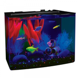 GloFish Crescent Aquarium Kit 3g