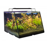 Lifegard Full-View 7 Gallon Aquarium with Filter