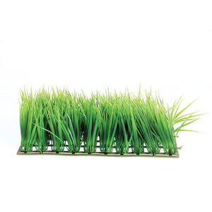 Hairgrass Mat - 10"