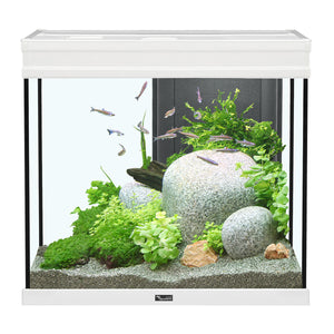 Aquatlantis Elegance Expert 60 Aquarium - White - 27.5 gal