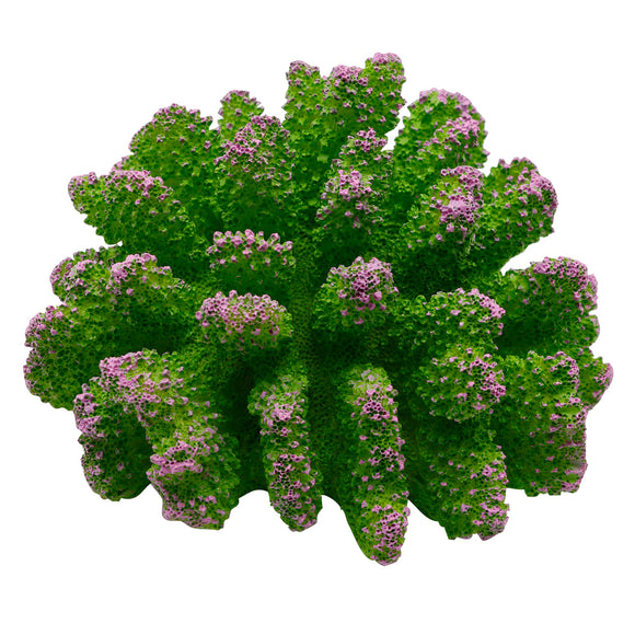 Polyped Coral - Green