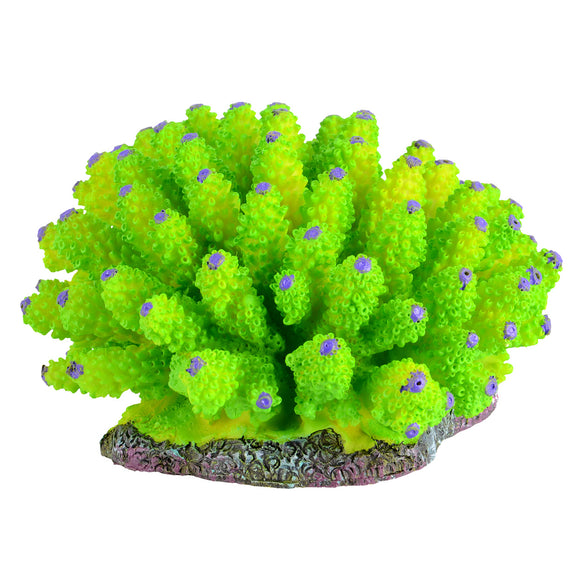 Green Tube Coral