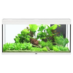 Aquatlantis Elegance Expert 120 Aquarium - White - 61 gal