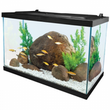 Tetra Complete LED Aquarium Kit 20g